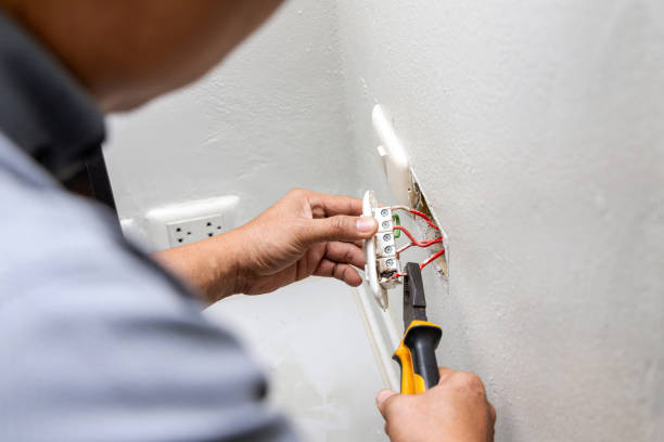 Best Electric Panel Repair  in Riverton, NJ
